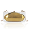 Chic Gold Acrylic Clutch Evening bag