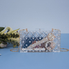 Transparent Clutch Adorned with Numerous Fake Diamond